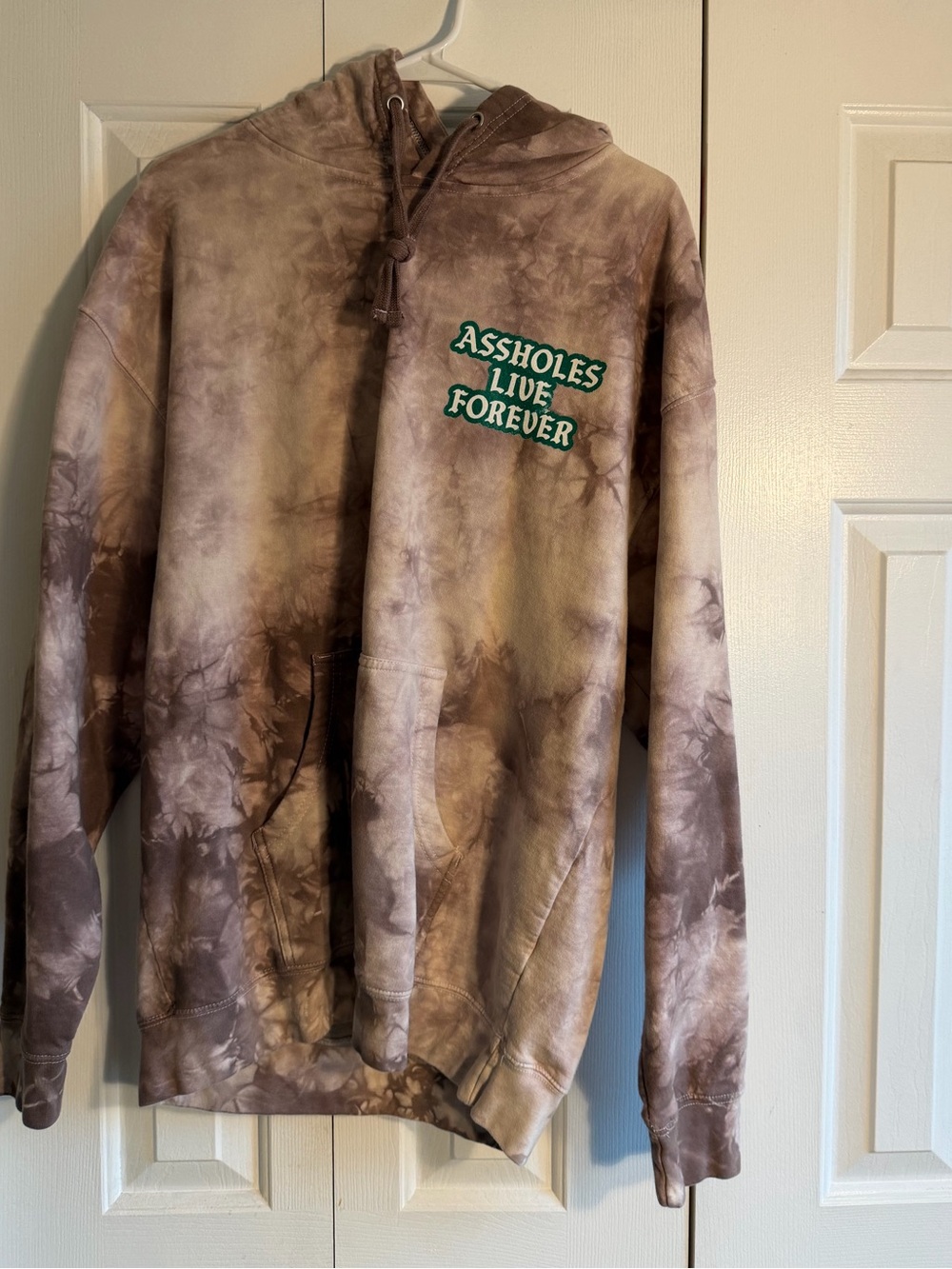 Tie-Dye Hoodie- Assholes Live Forever Graphic